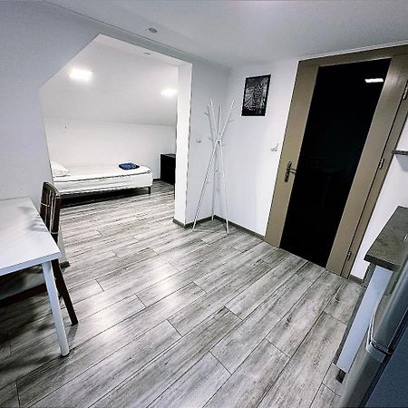 Apartamenty Retro Dąbrowa Górnicza Εξωτερικό φωτογραφία